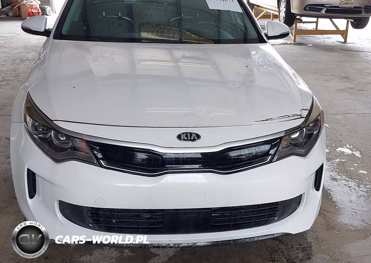 2017 Kia Optima Hybrid Ex VIN:KNAGU4LE1H5011313 - 12