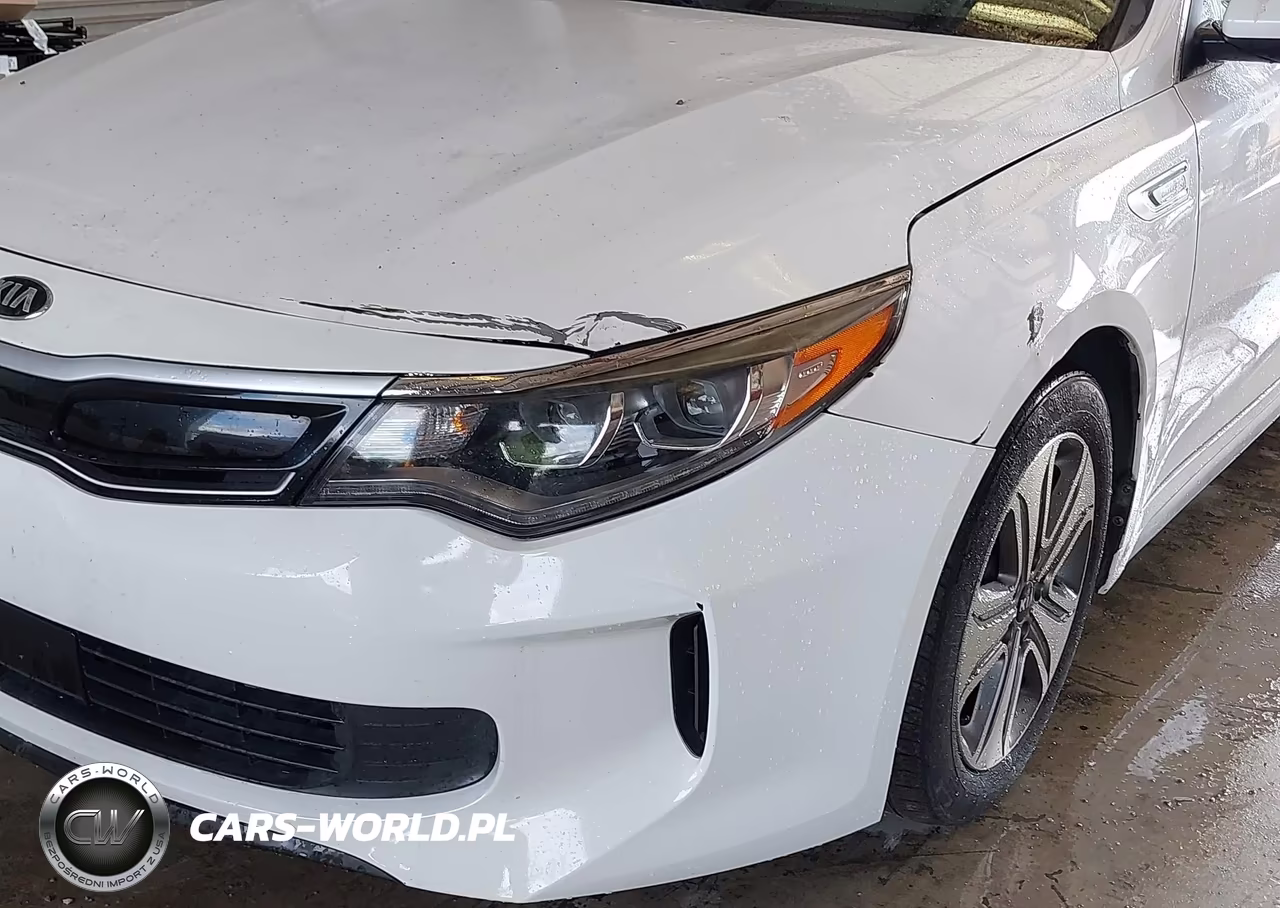2017 Kia Optima Hybrid Ex VIN:KNAGU4LE1H5011313 - 6