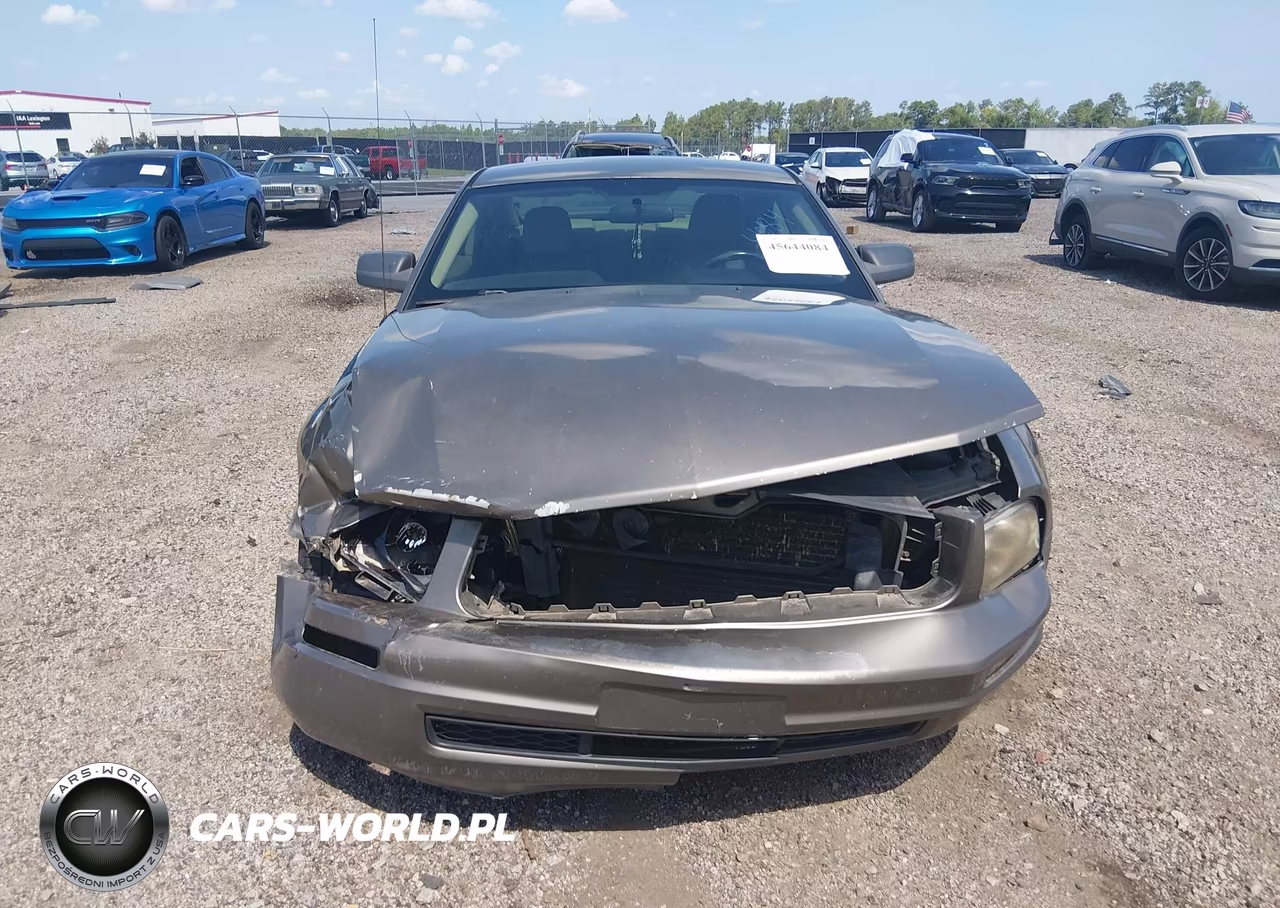 2005 Ford Mustang V6 Deluxe-V6 Premium VIN:1ZVFT80N355135038 - 13