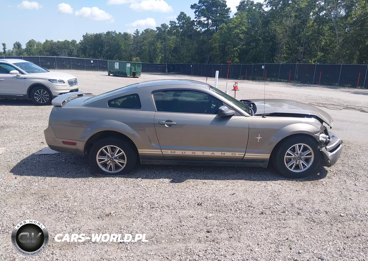 2005 Ford Mustang V6 Deluxe-V6 Premium VIN:1ZVFT80N355135038 - 14
