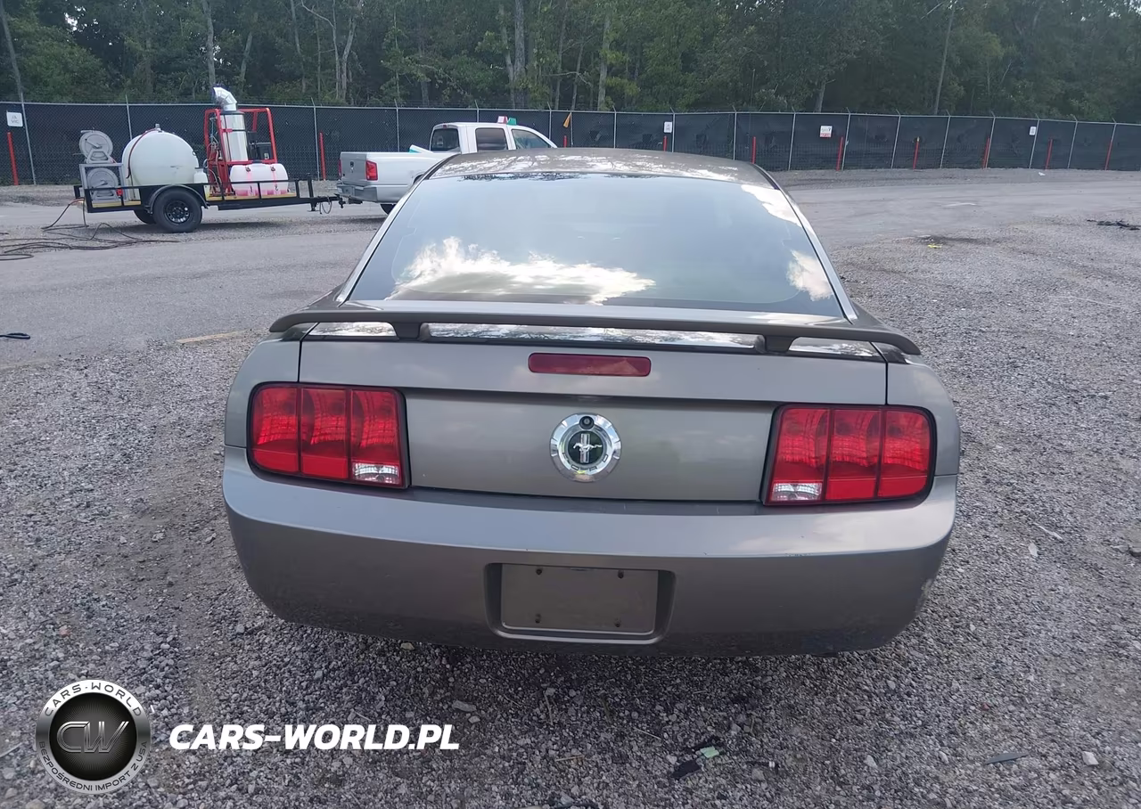 2005 Ford Mustang V6 Deluxe-V6 Premium VIN:1ZVFT80N355135038 - 17