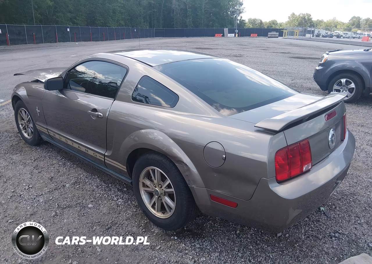 2005 Ford Mustang V6 Deluxe-V6 Premium VIN:1ZVFT80N355135038 - 3