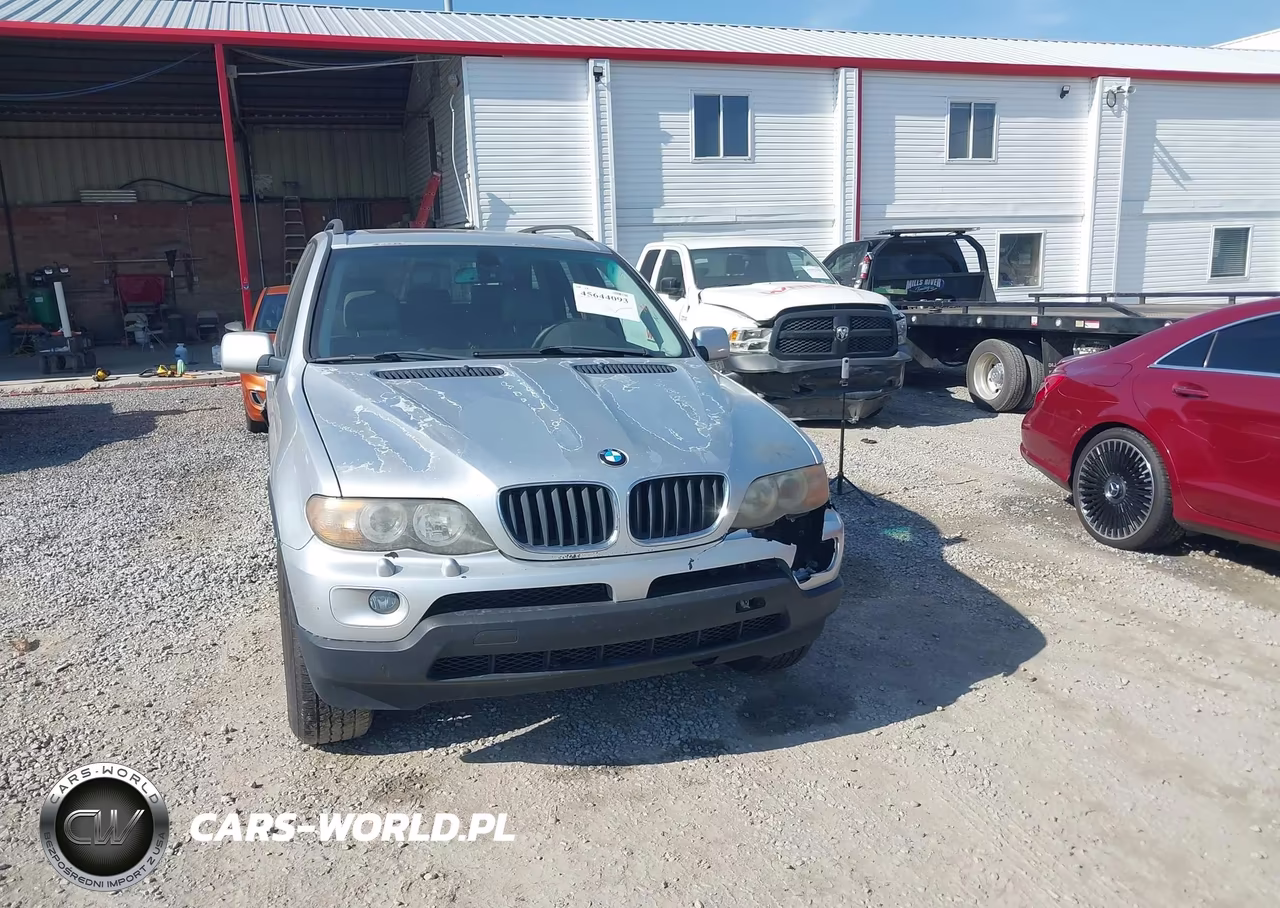 2006 BMW X5 3.0I VIN:5UXFA13526LY40310 - 12