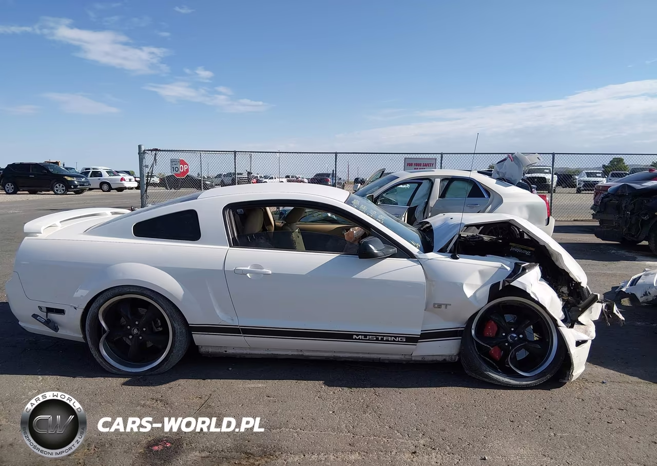 2006 Ford Mustang Gt VIN:1ZVFT82H365215108 - 13
