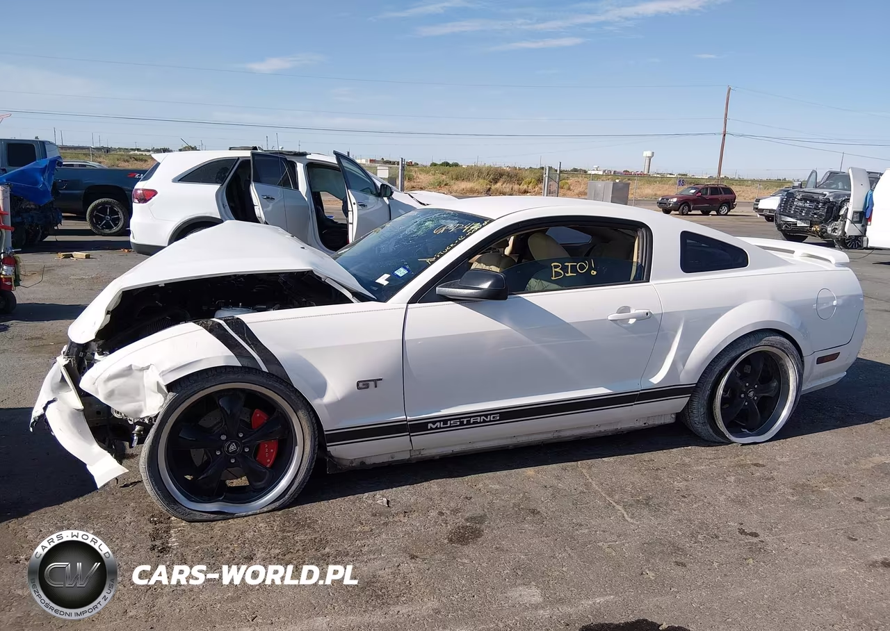 2006 Ford Mustang Gt VIN:1ZVFT82H365215108 - 14