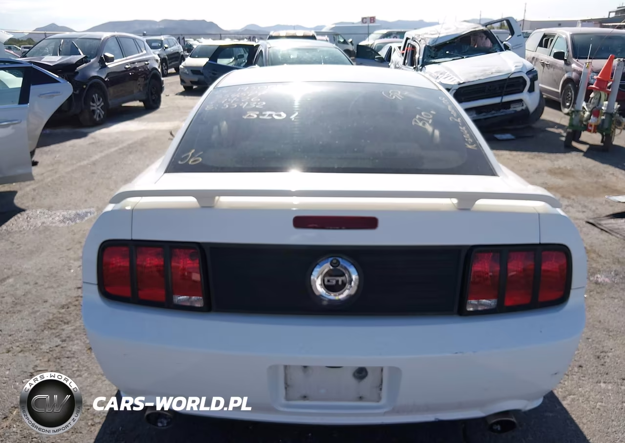 2006 Ford Mustang Gt VIN:1ZVFT82H365215108 - 16