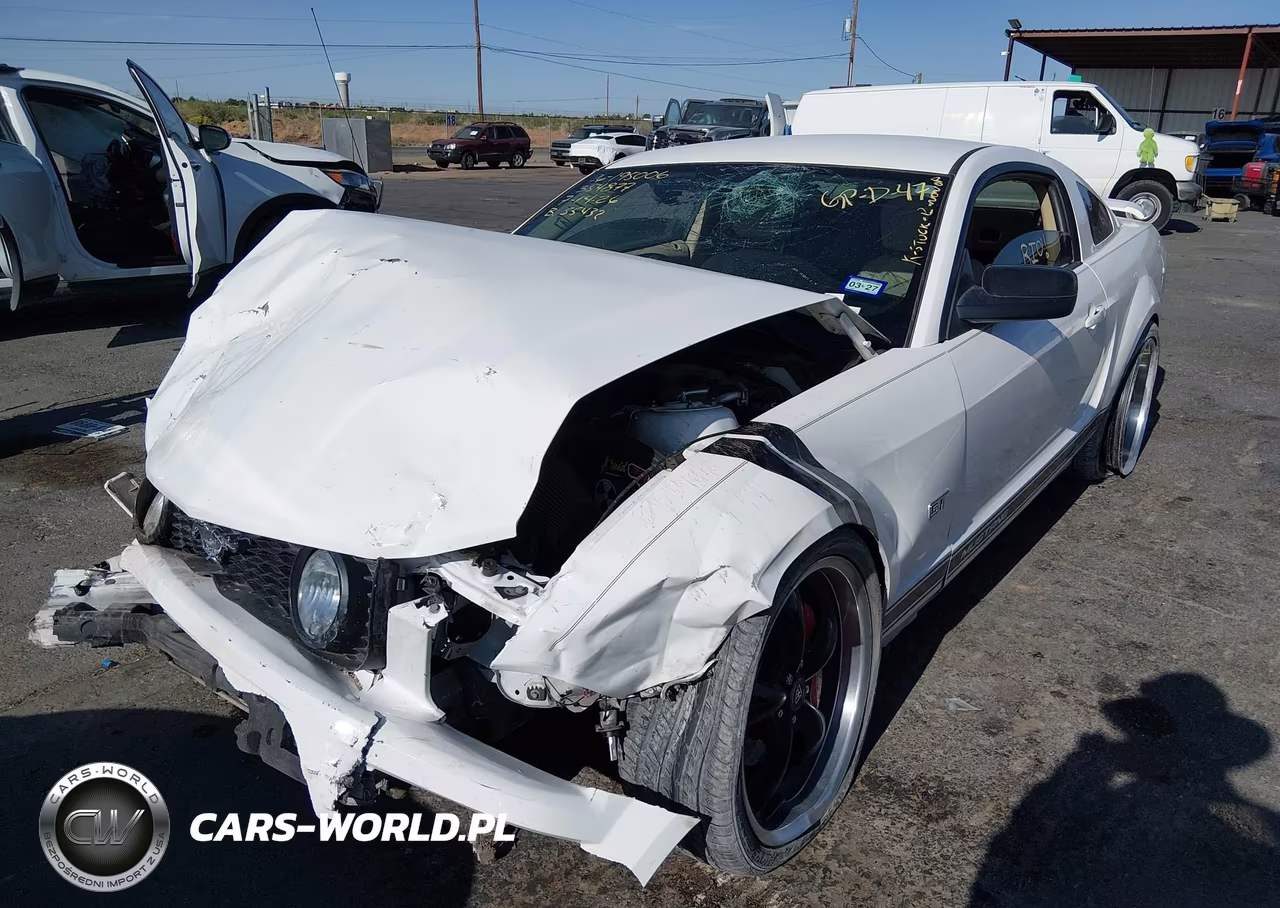 2006 Ford Mustang Gt VIN:1ZVFT82H365215108 - 2