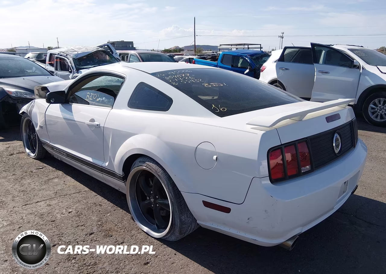 2006 Ford Mustang Gt VIN:1ZVFT82H365215108 - 3