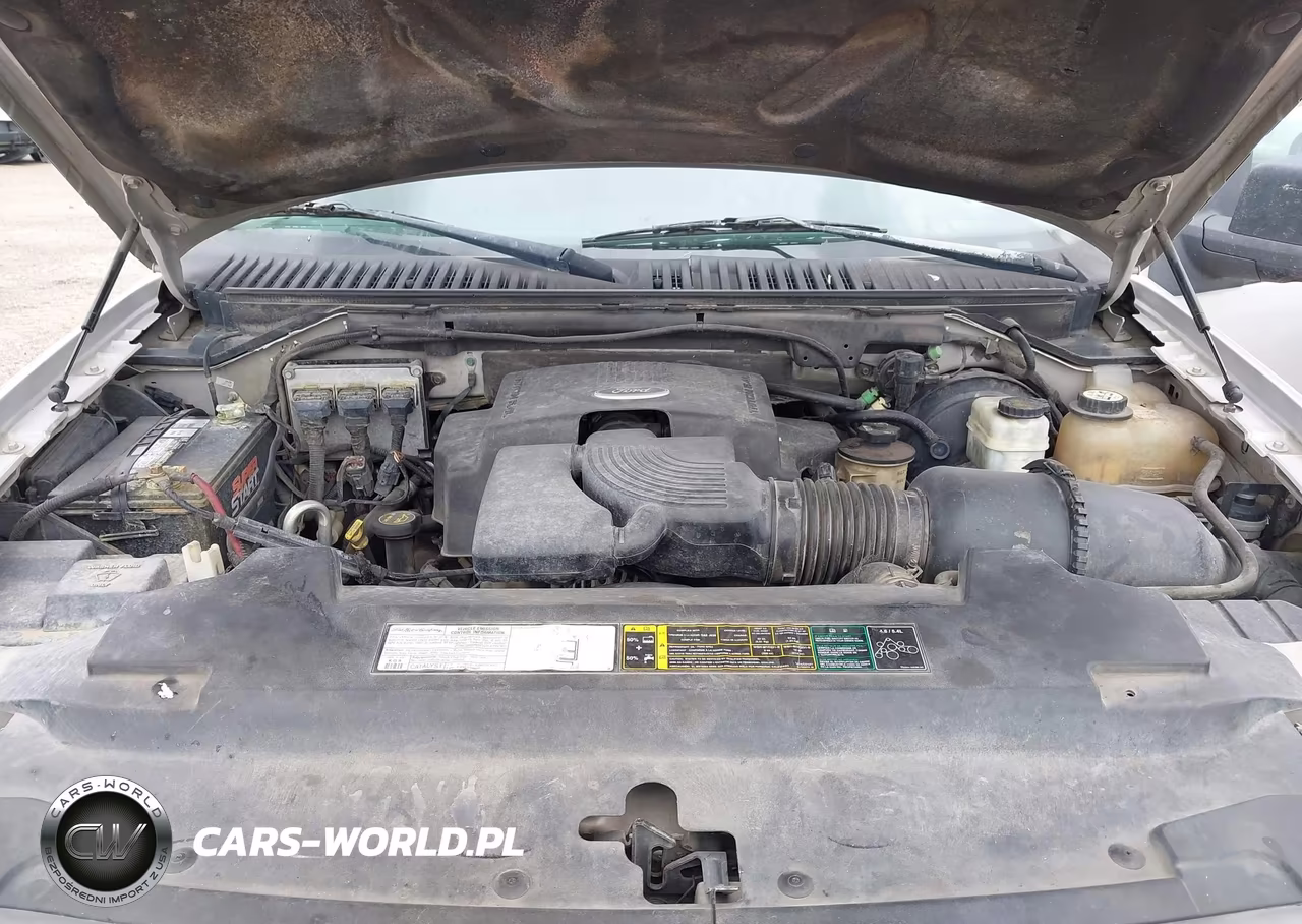 2003 Ford Expedition Xlt VIN:1FMPU15L83LB92116 - 10