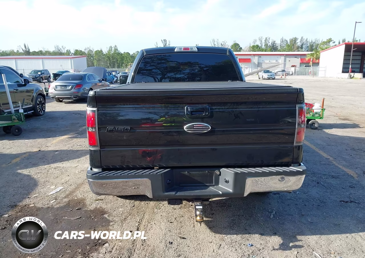 2013 Ford F-150 Xlt VIN:1FTMF1CMXDFD94632 - 17