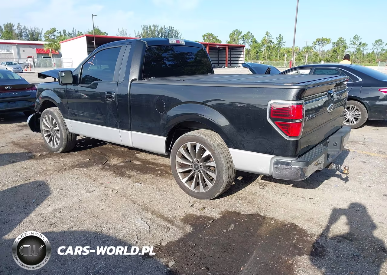 2013 Ford F-150 Xlt VIN:1FTMF1CMXDFD94632 - 3