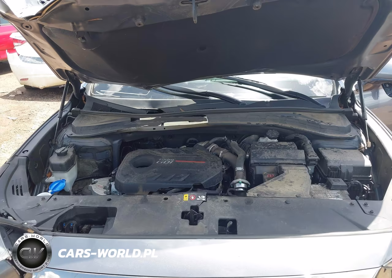2020 Hyundai Santa Fe Limited 2.0T VIN:5NMS53AA2LH179259 - 10