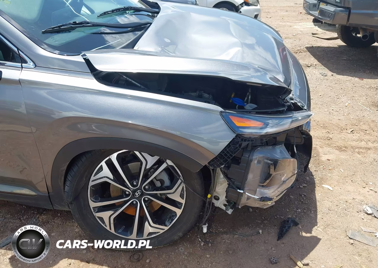 2020 Hyundai Santa Fe Limited 2.0T VIN:5NMS53AA2LH179259 - 6