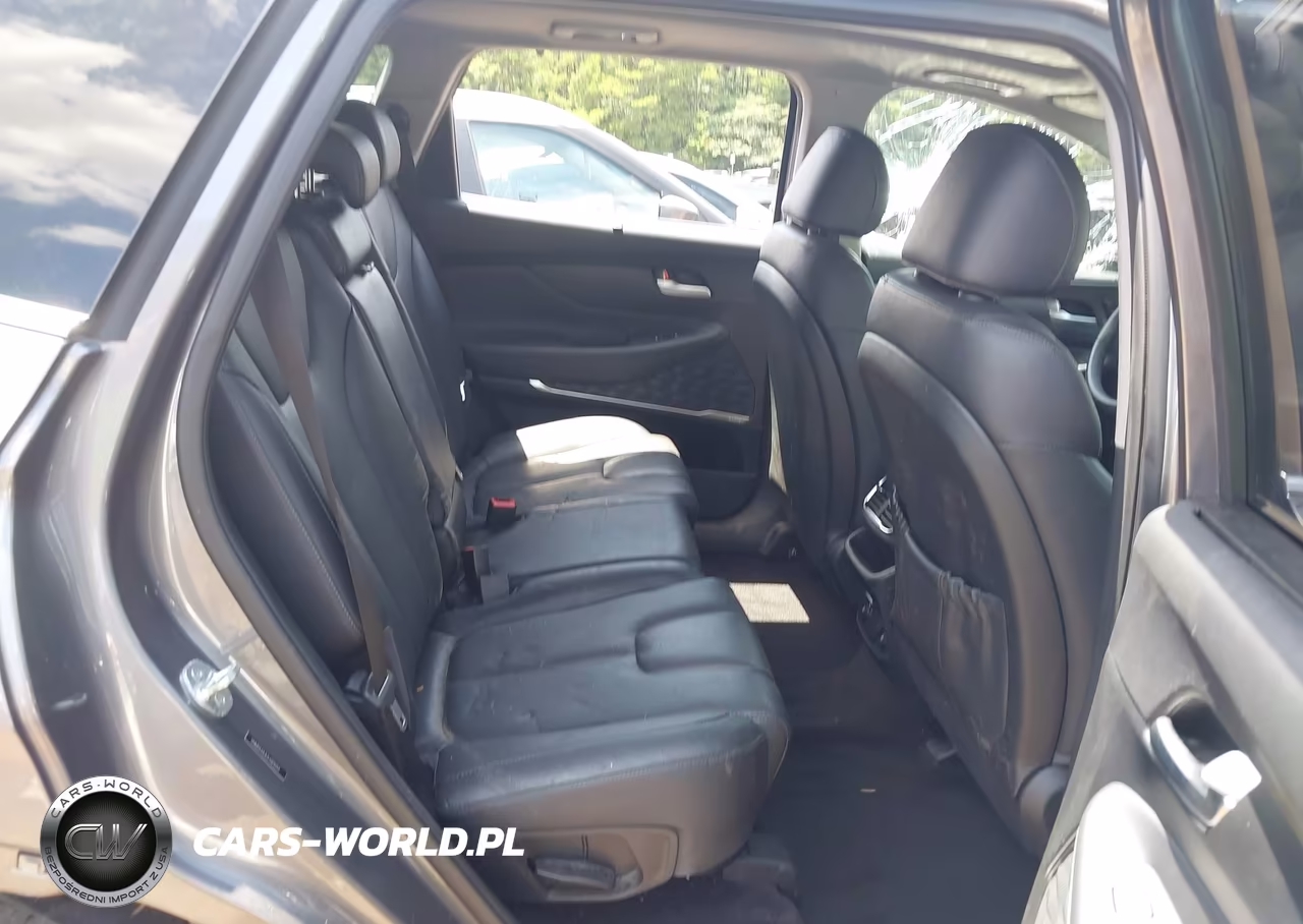 2020 Hyundai Santa Fe Limited 2.0T VIN:5NMS53AA2LH179259 - 8