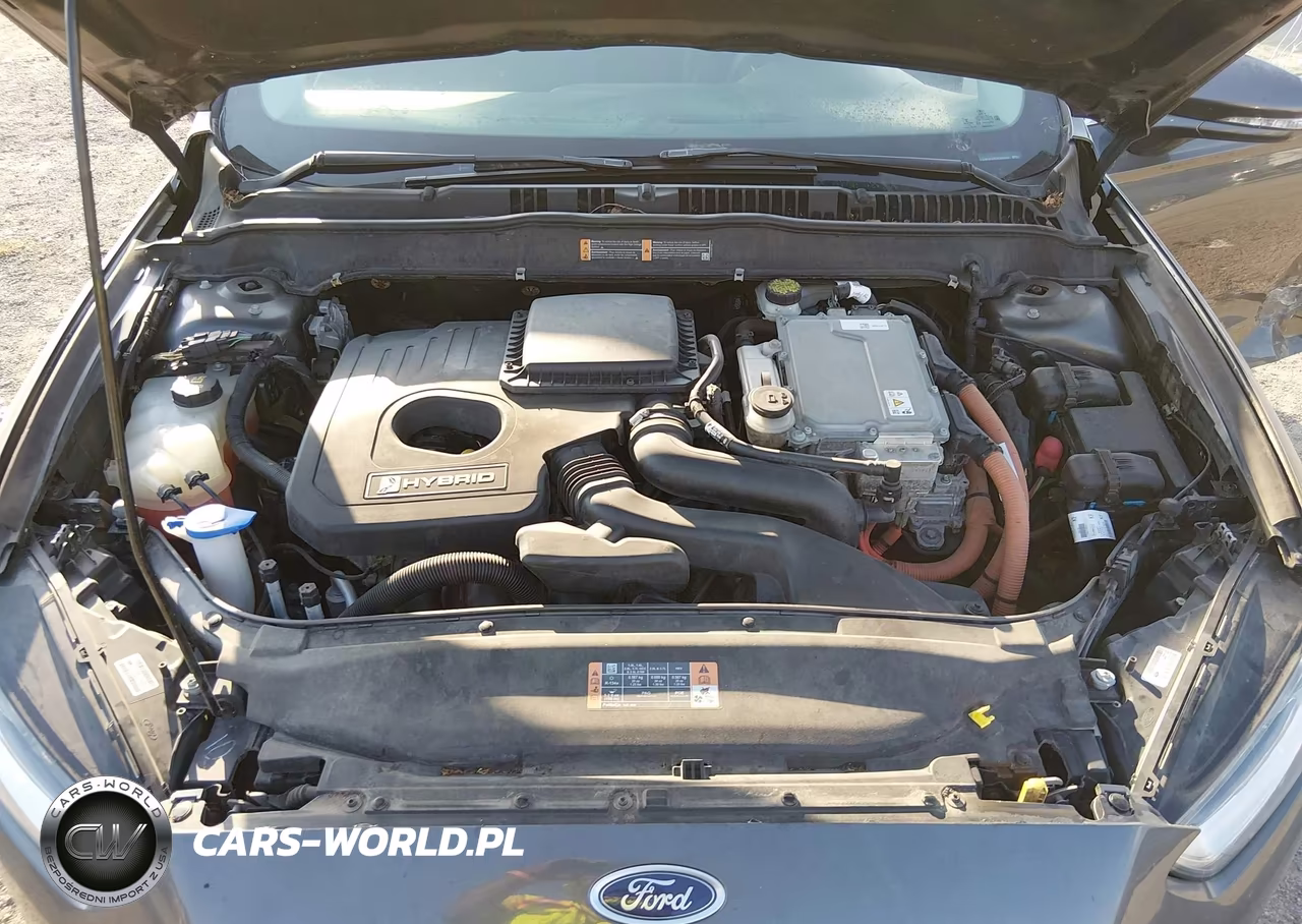 2016 Ford Fusion Hybrid Se VIN:3FA6P0LU1GR403554 - 10