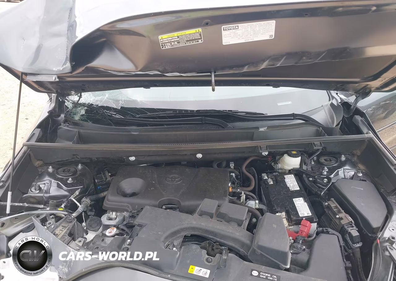2025 Toyota Rav4 Xle VIN:2T3W1RFV9SC303728 - 10