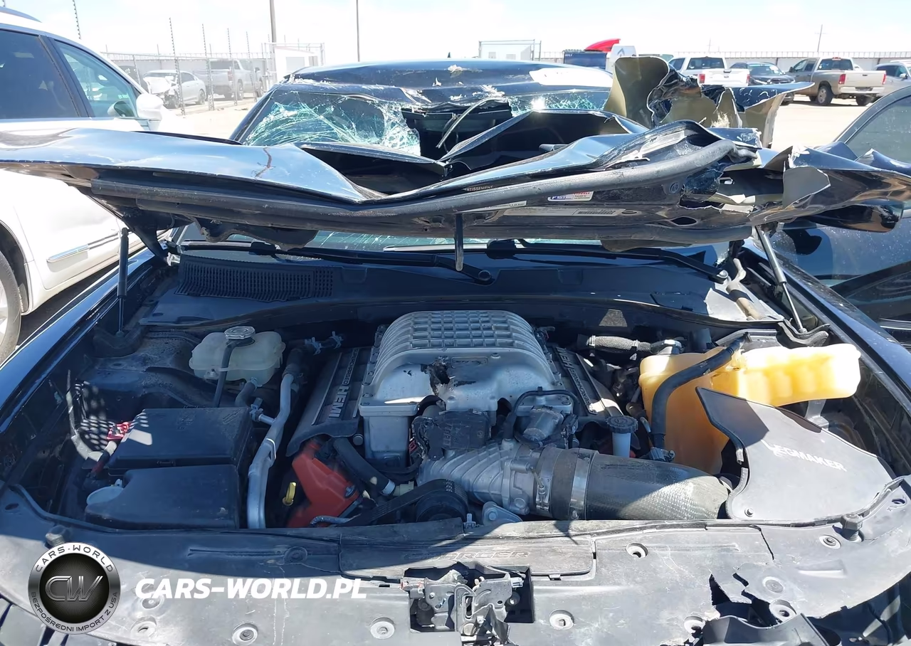 2019 Dodge Charger Srt Hellcat Rwd VIN:2C3CDXL90KH668355 - 10