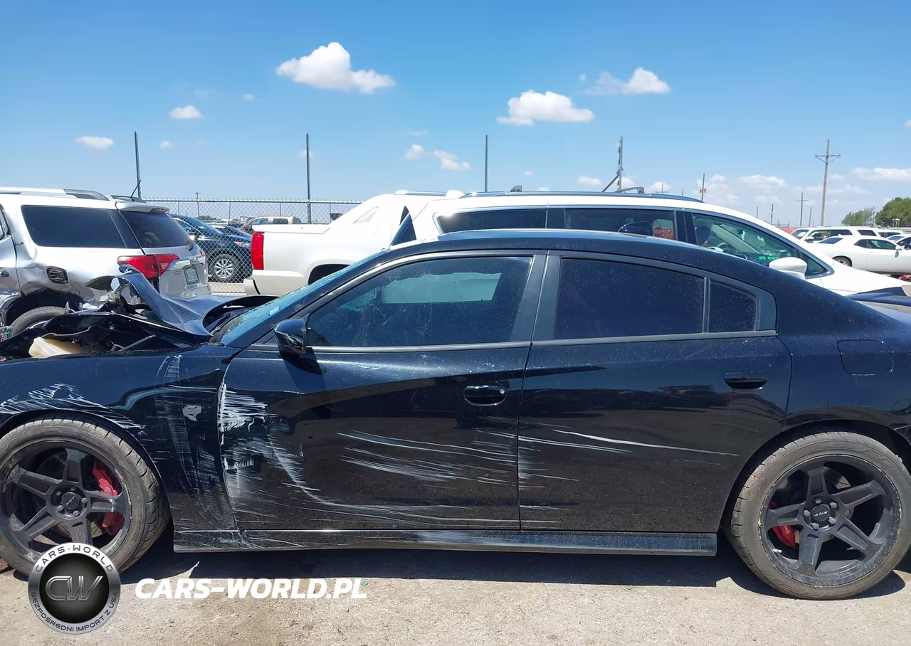 2019 Dodge Charger Srt Hellcat Rwd VIN:2C3CDXL90KH668355 - 15