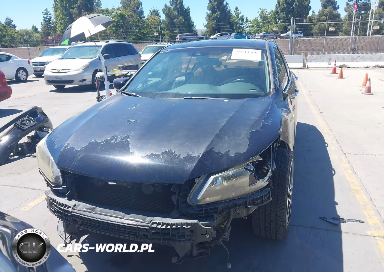 2013 Honda Accord Ex-L VIN:1HGCR2F83DA215806 - 13