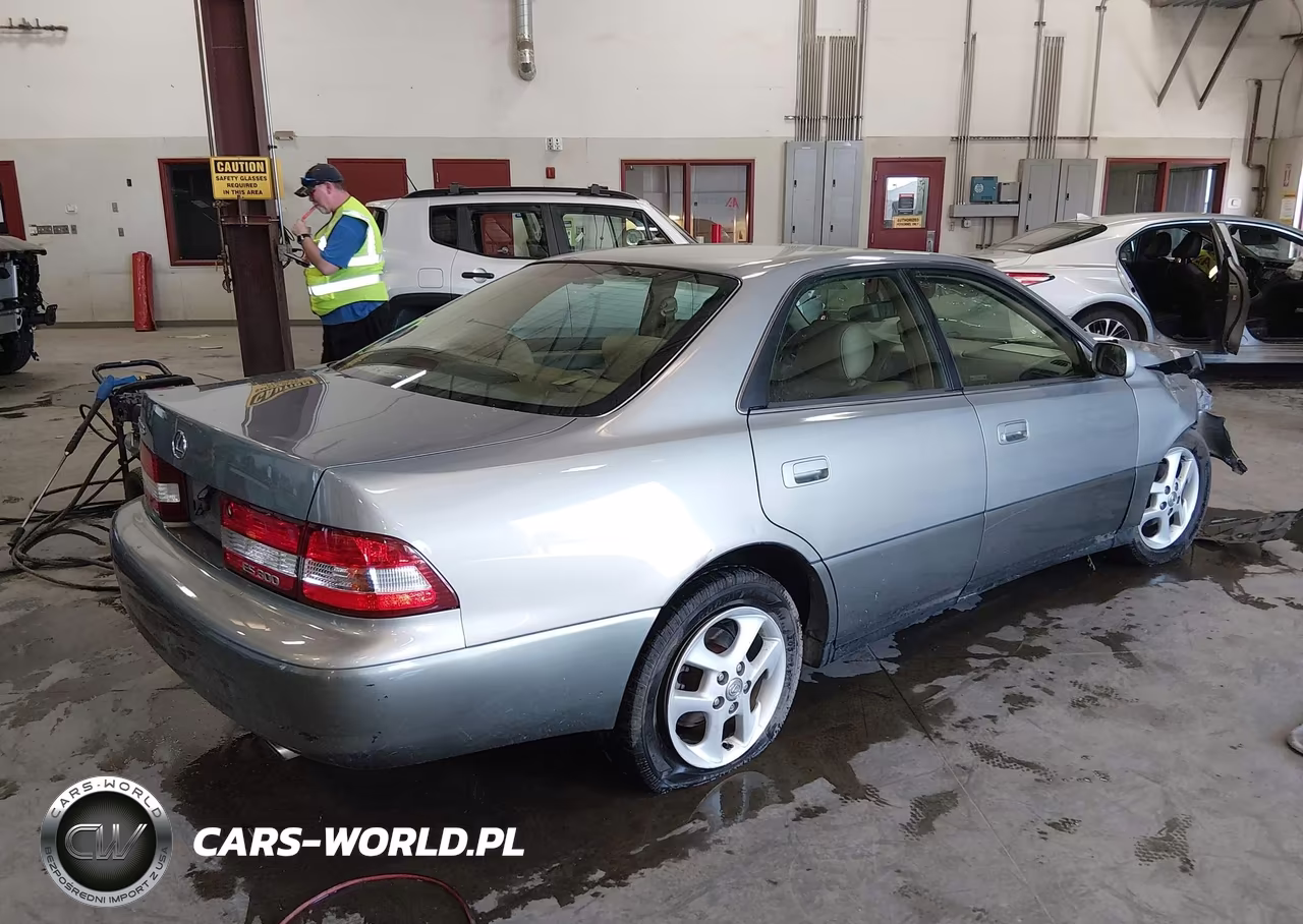2001 Lexus Es 300 VIN:JT8BF28G910333141 - 4