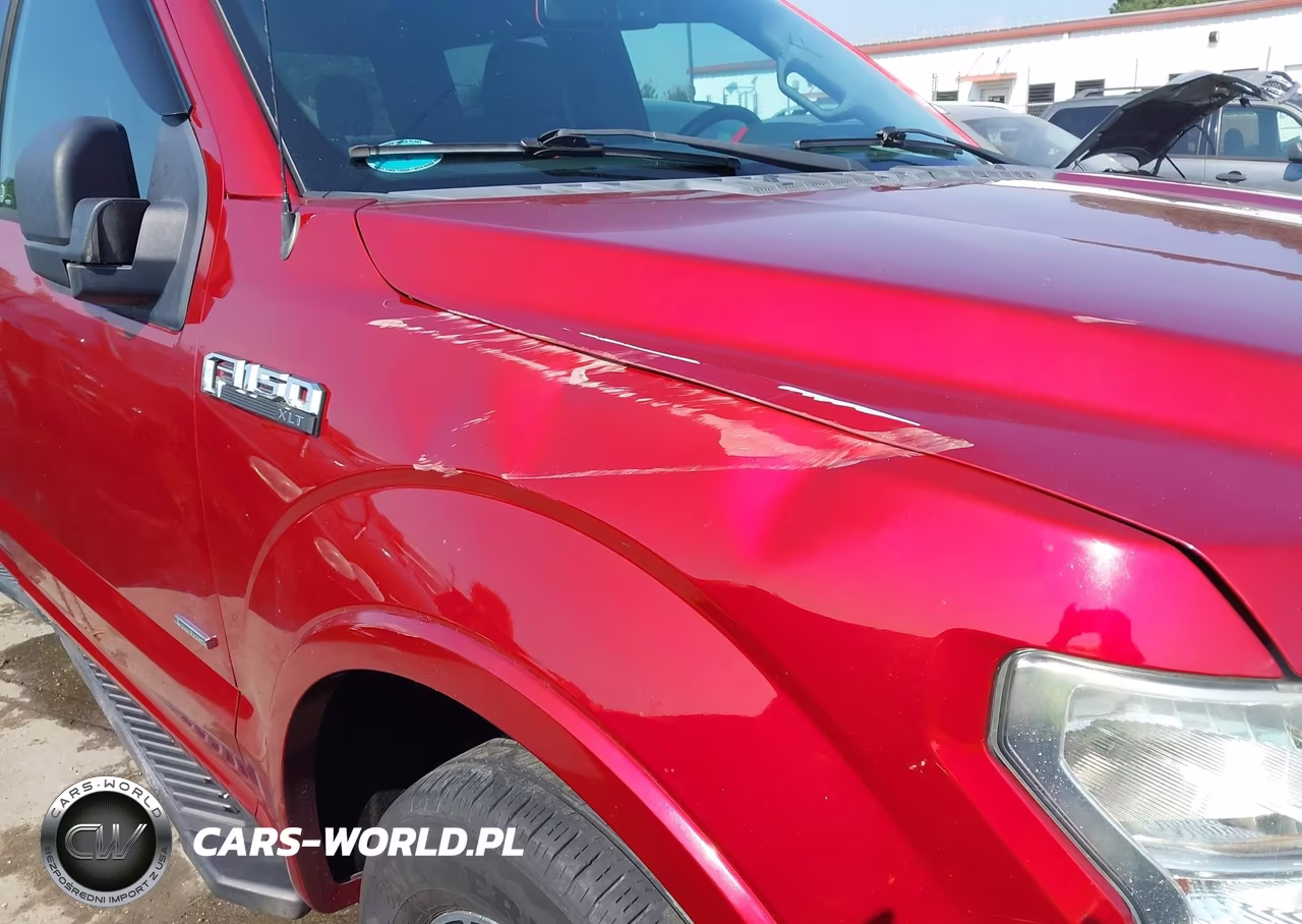 2016 Ford F-150 Xlt VIN:1FTEW1CP6GFA75490 - 18