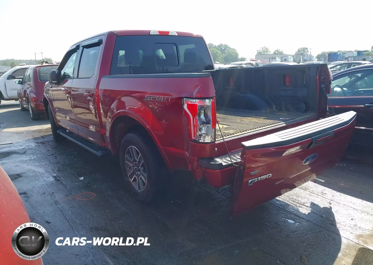 2016 Ford F-150 Xlt VIN:1FTEW1CP6GFA75490 - 3