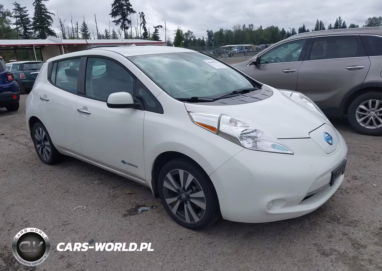 2016 Nissan Leaf Sv VIN:1N4BZ0CP9GC311187 - 1