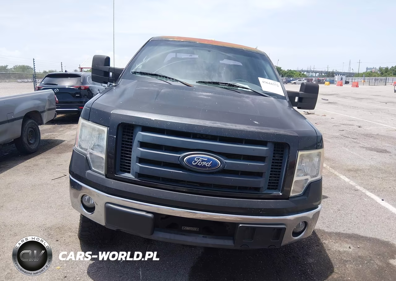 2010 Ford F-150 Fx2 Sport-Stx-Xl-Xlt VIN:1FTEX1C84AKA38653 - 12