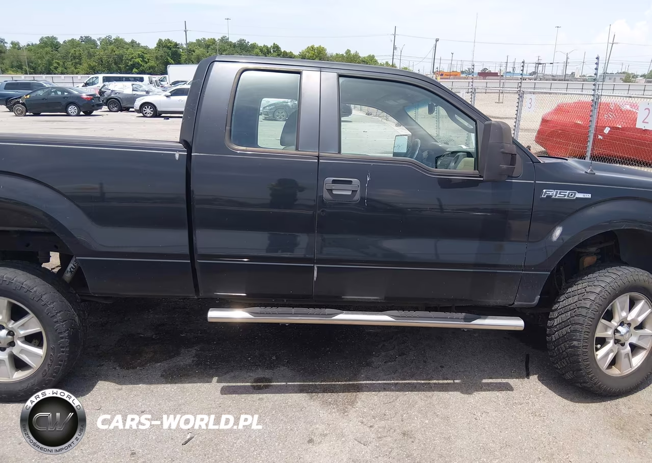2010 Ford F-150 Fx2 Sport-Stx-Xl-Xlt VIN:1FTEX1C84AKA38653 - 13