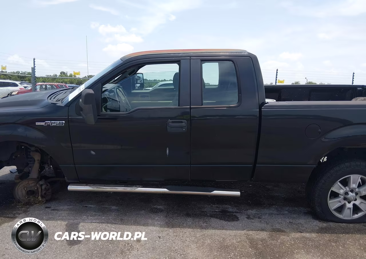 2010 Ford F-150 Fx2 Sport-Stx-Xl-Xlt VIN:1FTEX1C84AKA38653 - 14