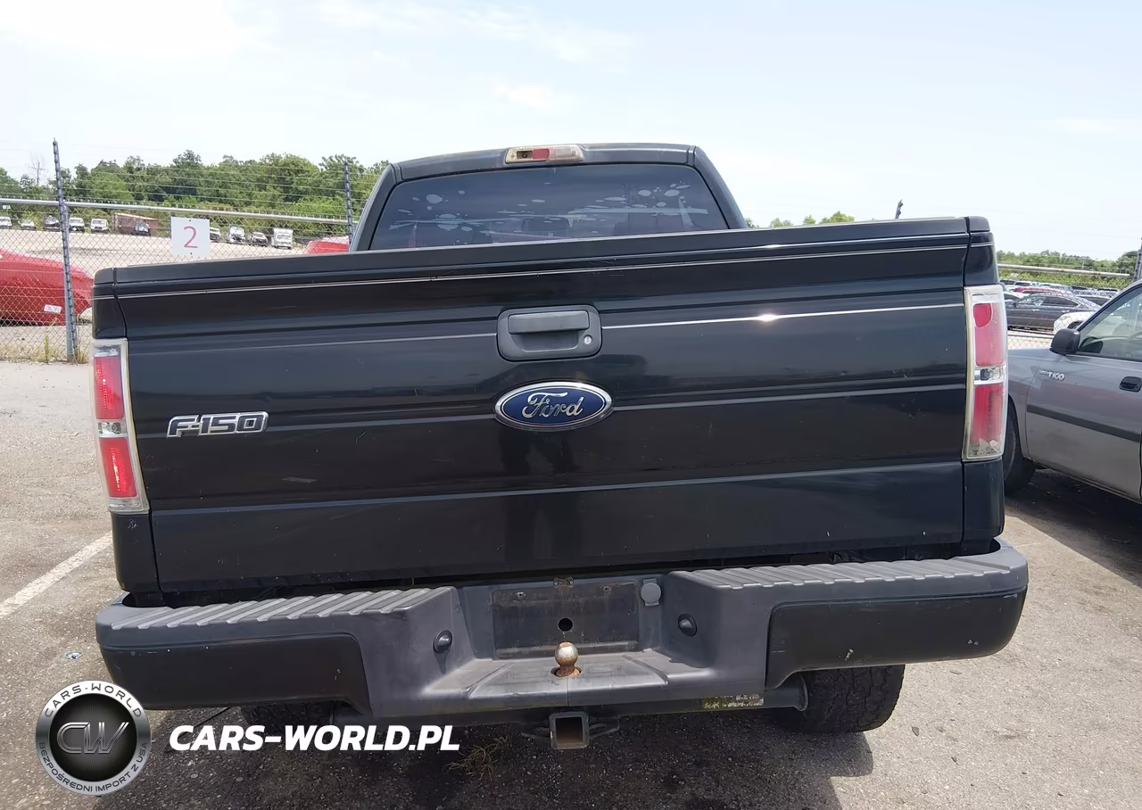 2010 Ford F-150 Fx2 Sport-Stx-Xl-Xlt VIN:1FTEX1C84AKA38653 - 16
