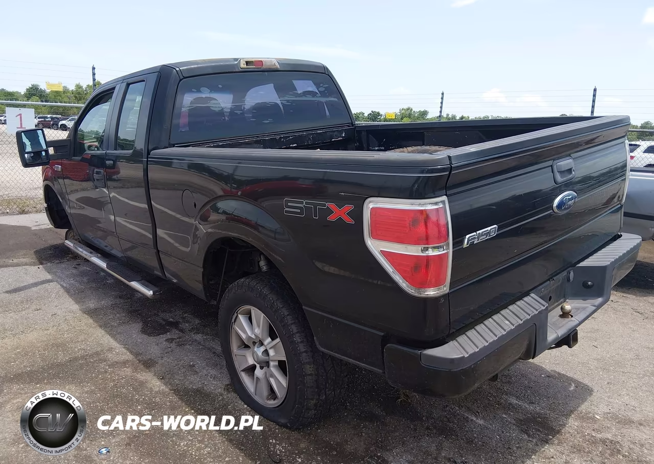 2010 Ford F-150 Fx2 Sport-Stx-Xl-Xlt VIN:1FTEX1C84AKA38653 - 3