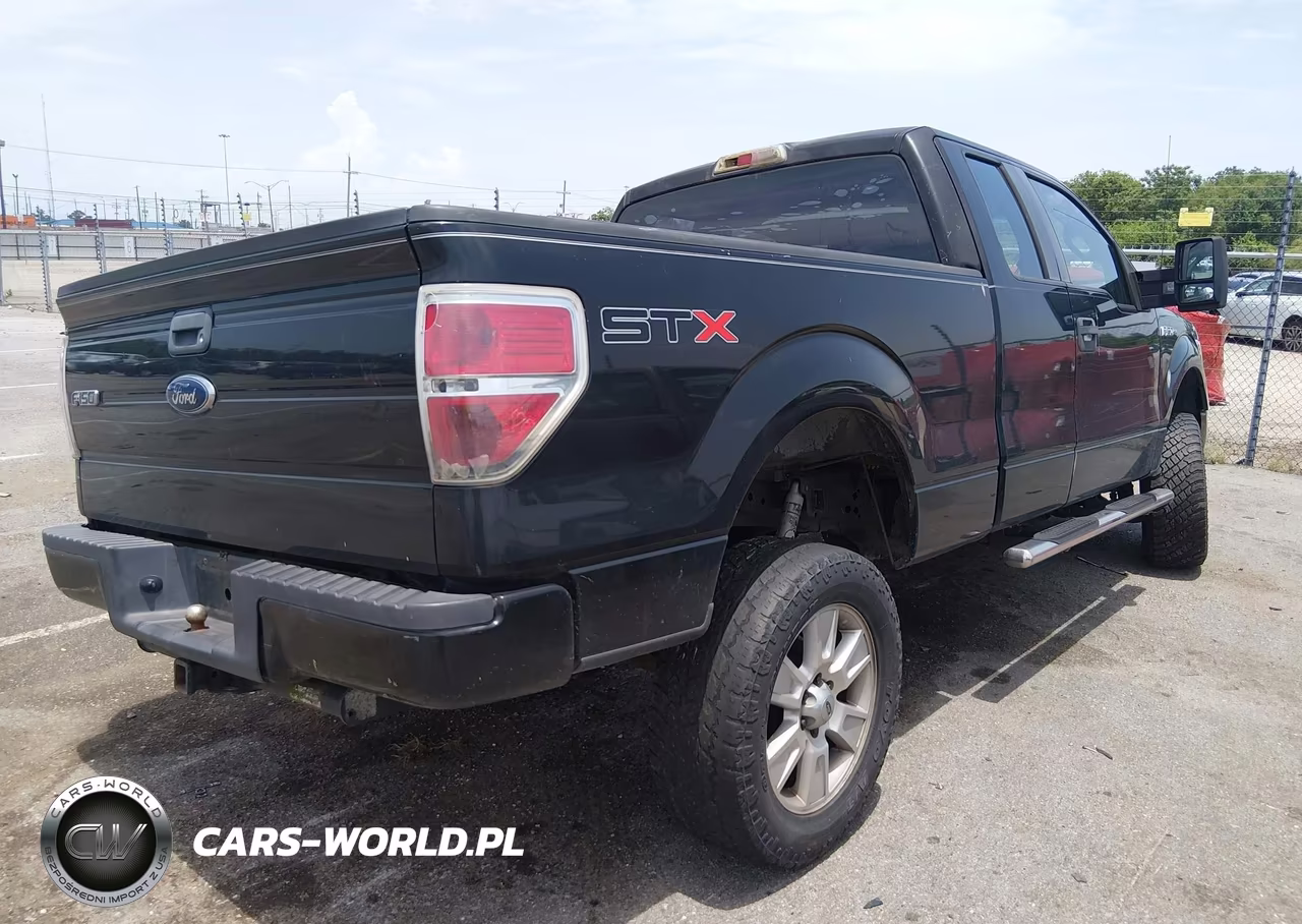 2010 Ford F-150 Fx2 Sport-Stx-Xl-Xlt VIN:1FTEX1C84AKA38653 - 4