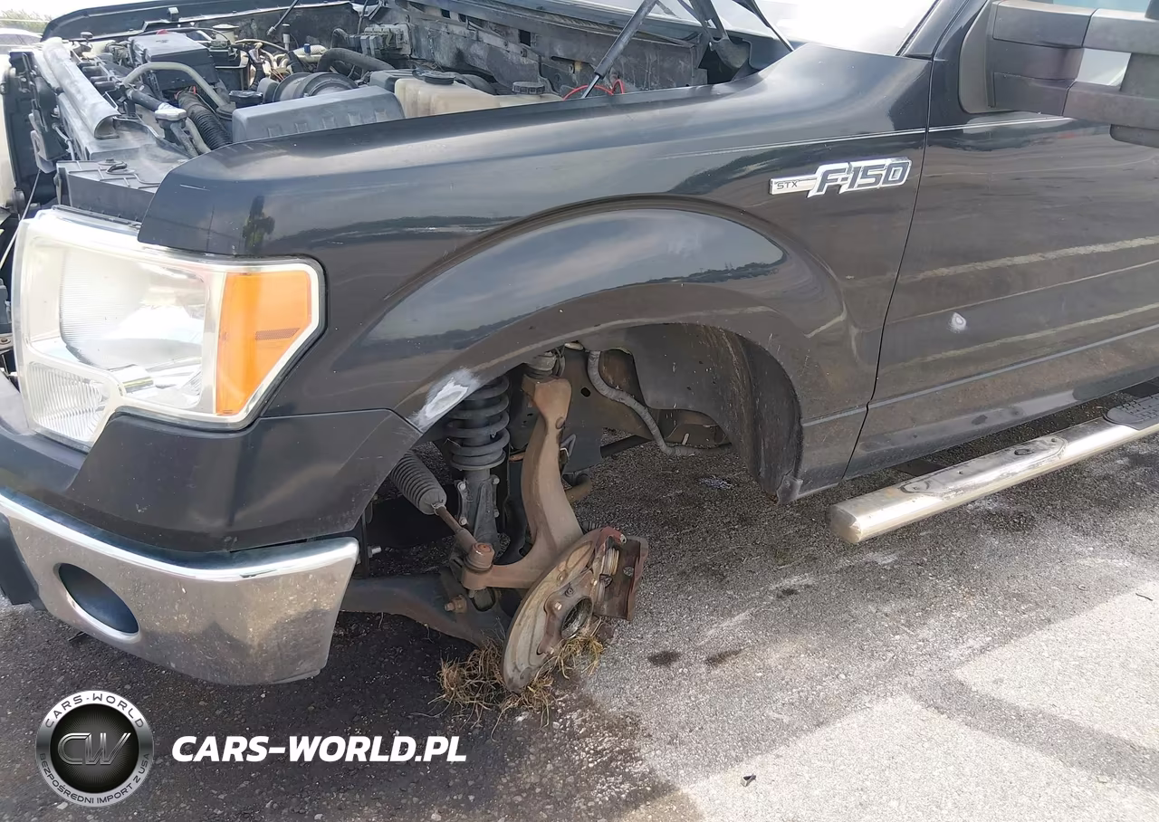 2010 Ford F-150 Fx2 Sport-Stx-Xl-Xlt VIN:1FTEX1C84AKA38653 - 6