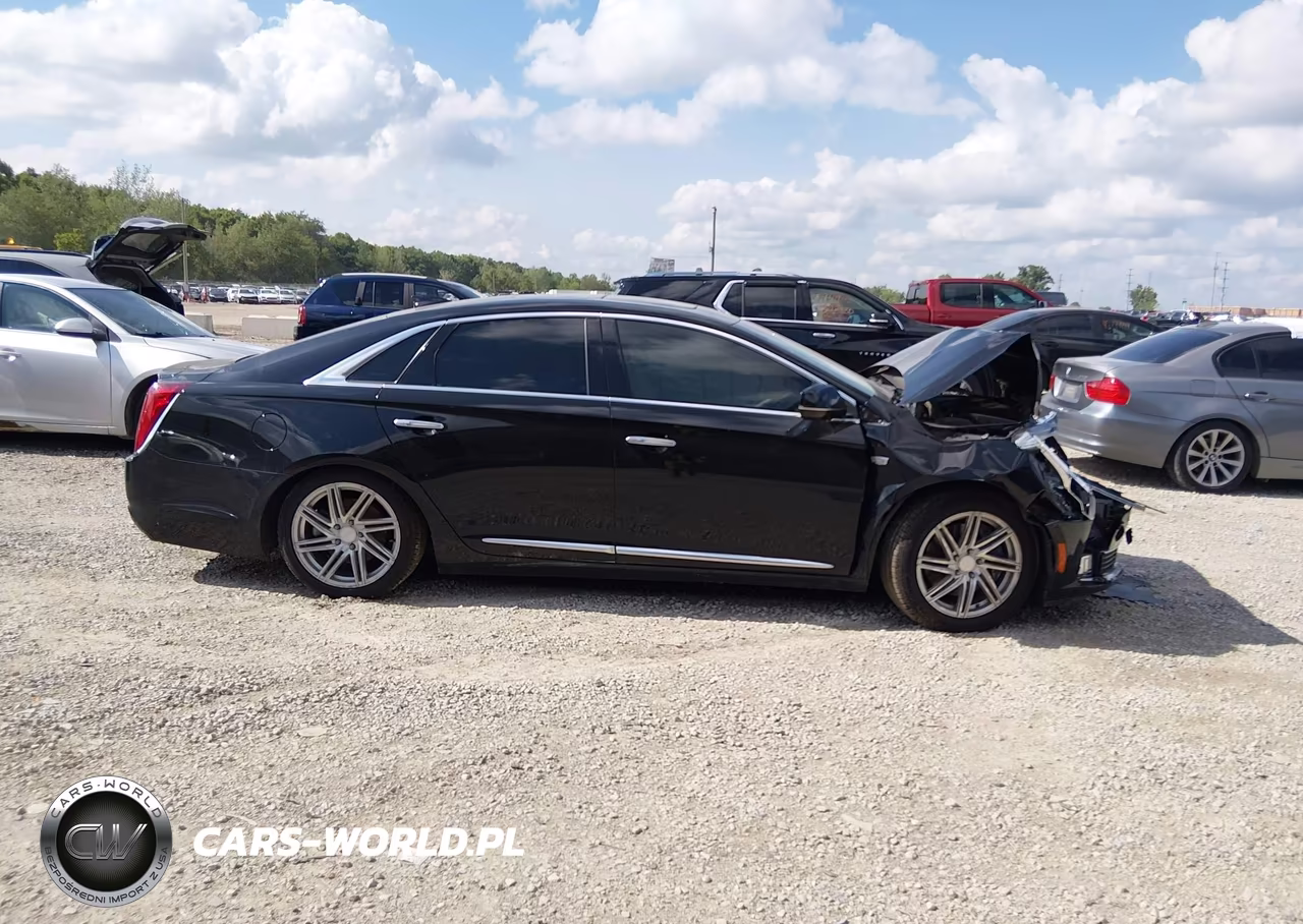 2019 Cadillac Xts Premium Luxury VIN:2G61R5S32K9100434 - 13