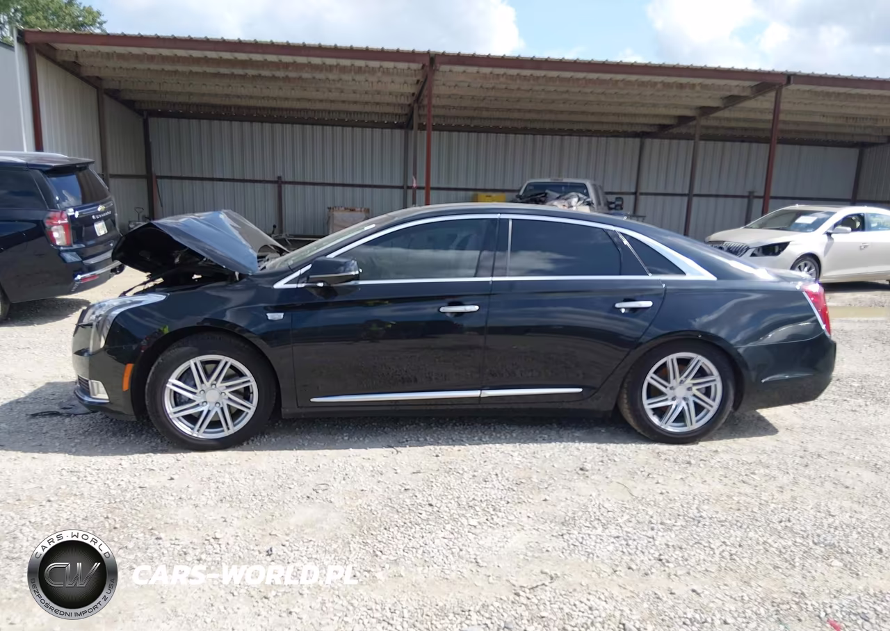 2019 Cadillac Xts Premium Luxury VIN:2G61R5S32K9100434 - 14