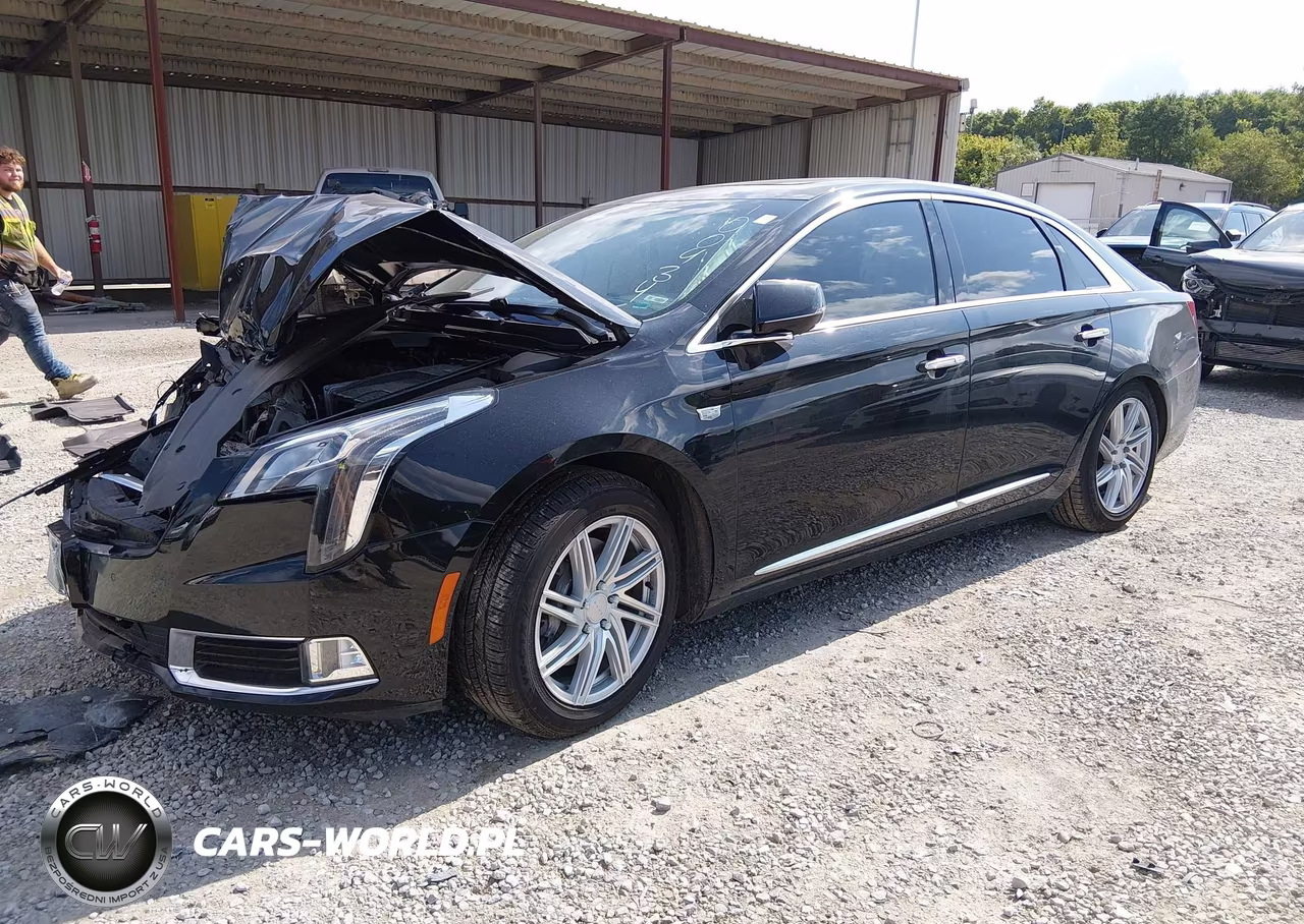 2019 Cadillac Xts Premium Luxury VIN:2G61R5S32K9100434 - 2