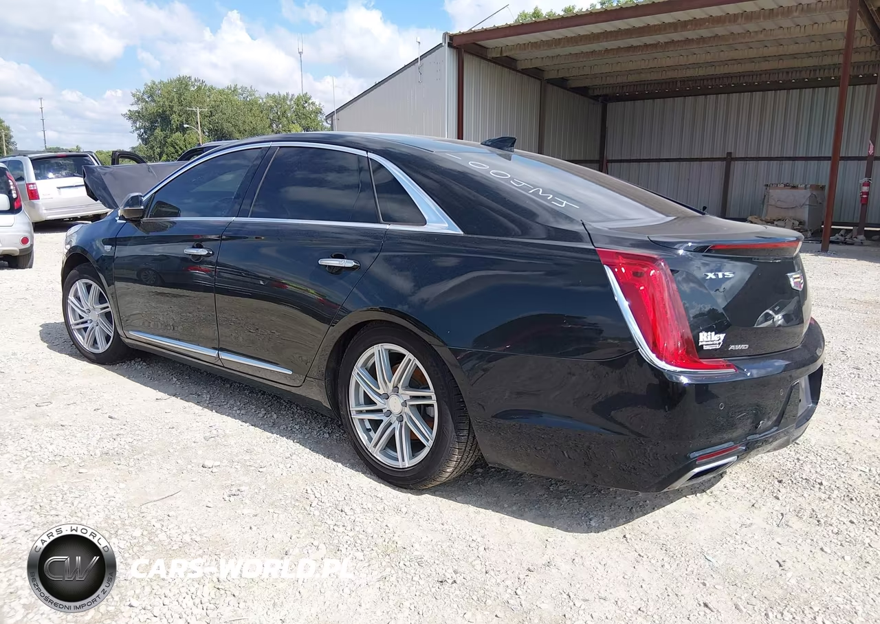 2019 Cadillac Xts Premium Luxury VIN:2G61R5S32K9100434 - 3