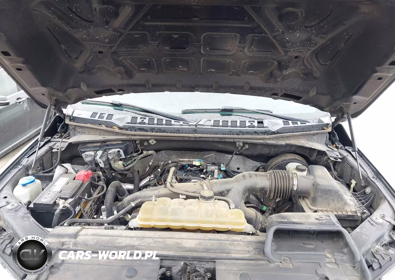 2019 Ford F-150 Xl VIN:1FTEW1CP6KKD63672 - 10