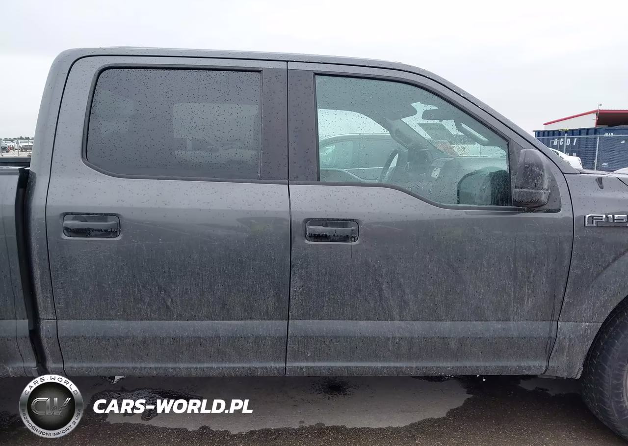 2019 Ford F-150 Xl VIN:1FTEW1CP6KKD63672 - 13