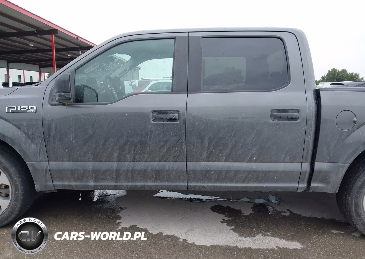 2019 Ford F-150 Xl VIN:1FTEW1CP6KKD63672 - 14