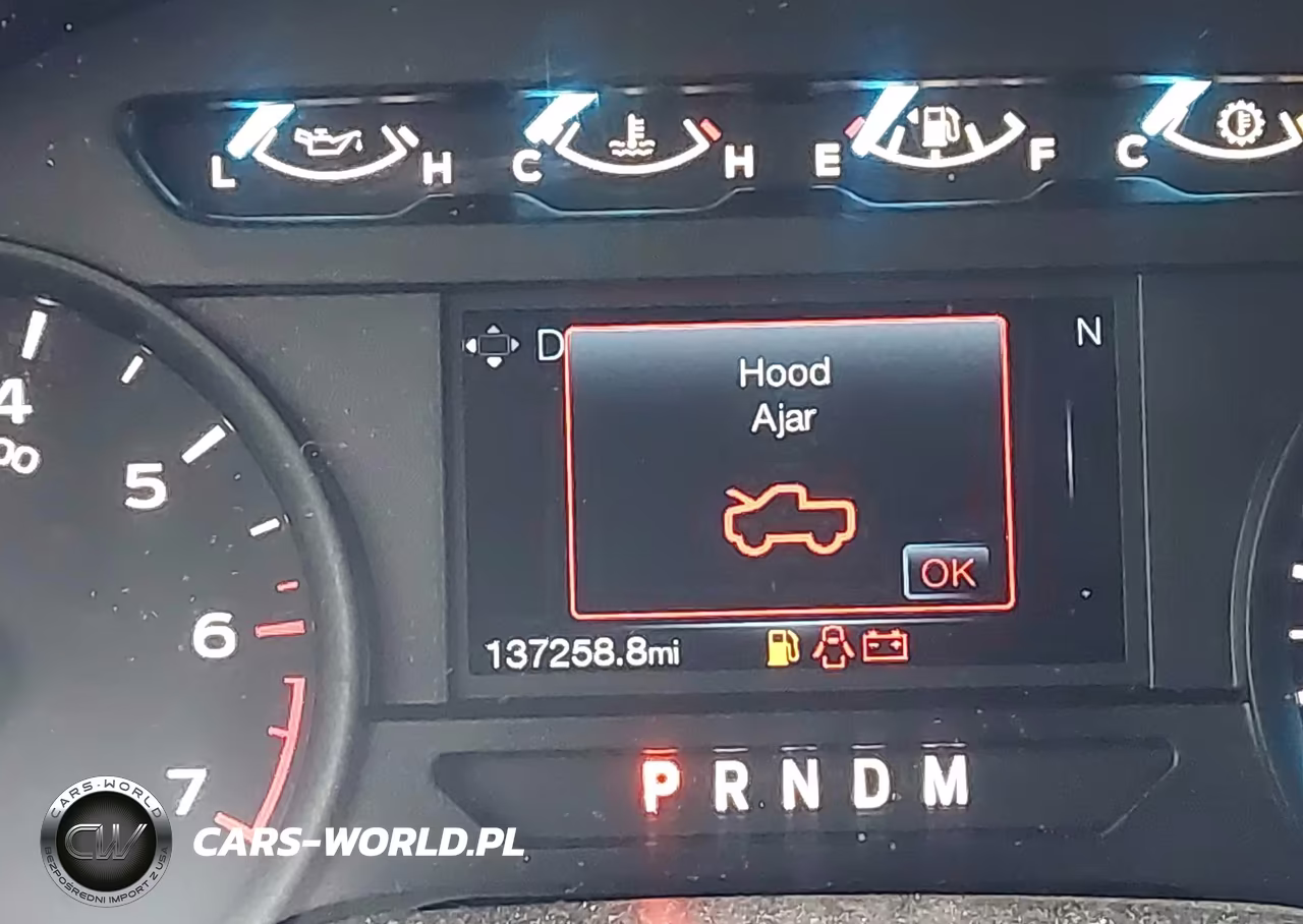 2019 Ford F-150 Xl VIN:1FTEW1CP6KKD63672 - 15