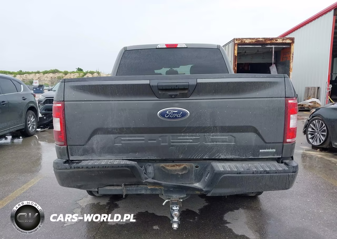 2019 Ford F-150 Xl VIN:1FTEW1CP6KKD63672 - 16