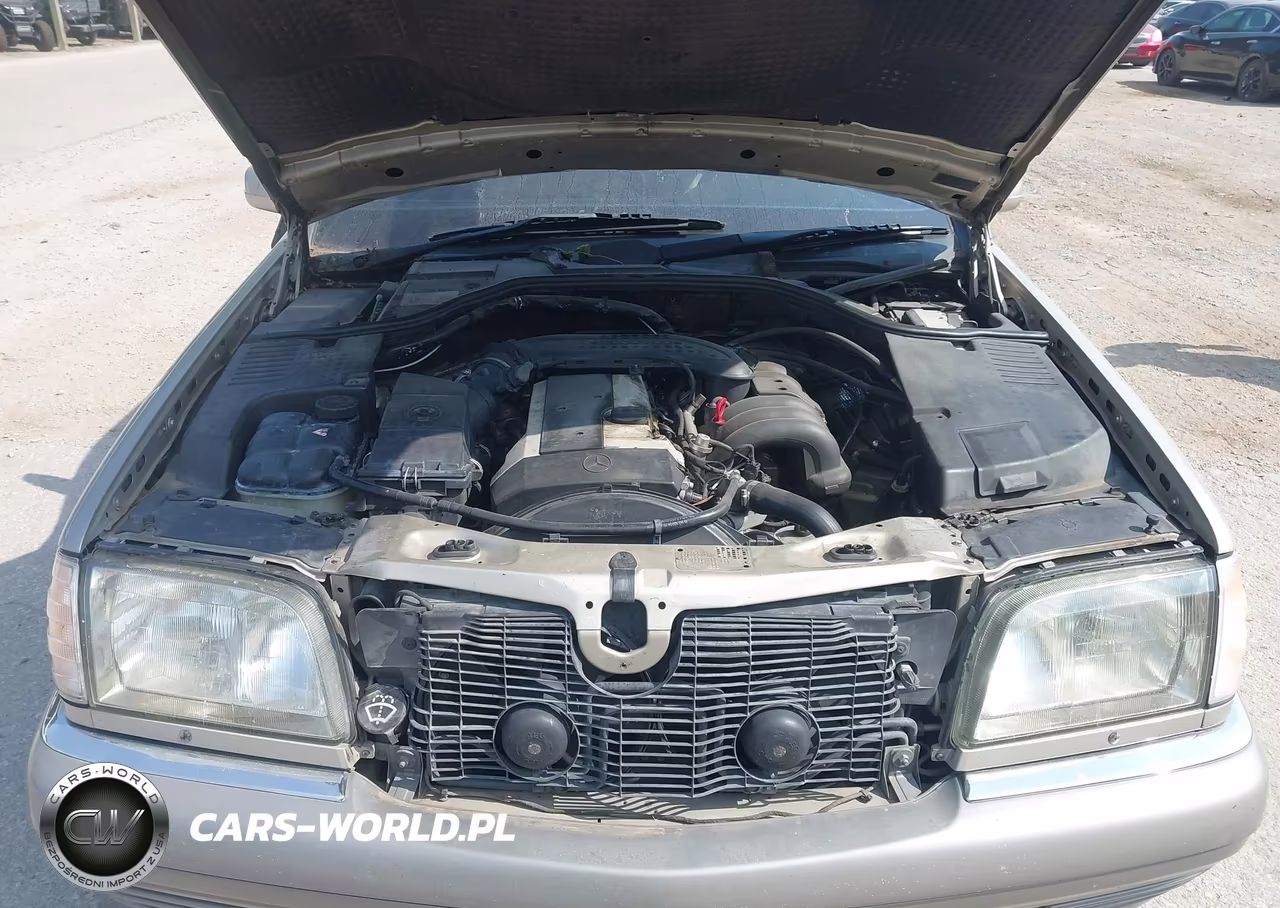 1996 Mercedes-Benz S 320W VIN:WDBGA32E0TA313892 - 10