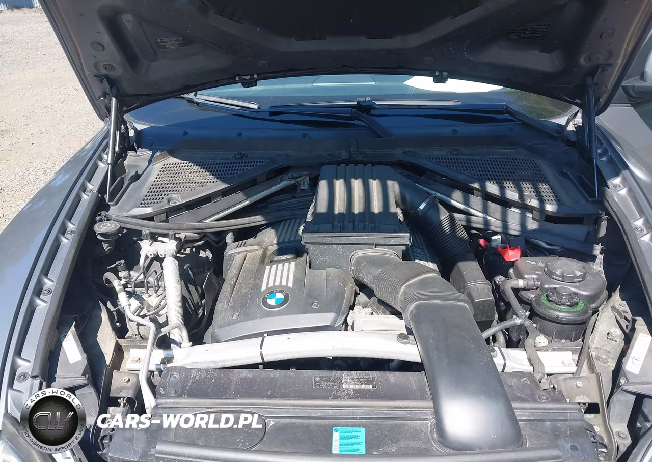 2009 BMW X5 xDrive30I VIN:5UXFE43549L269428 - 10