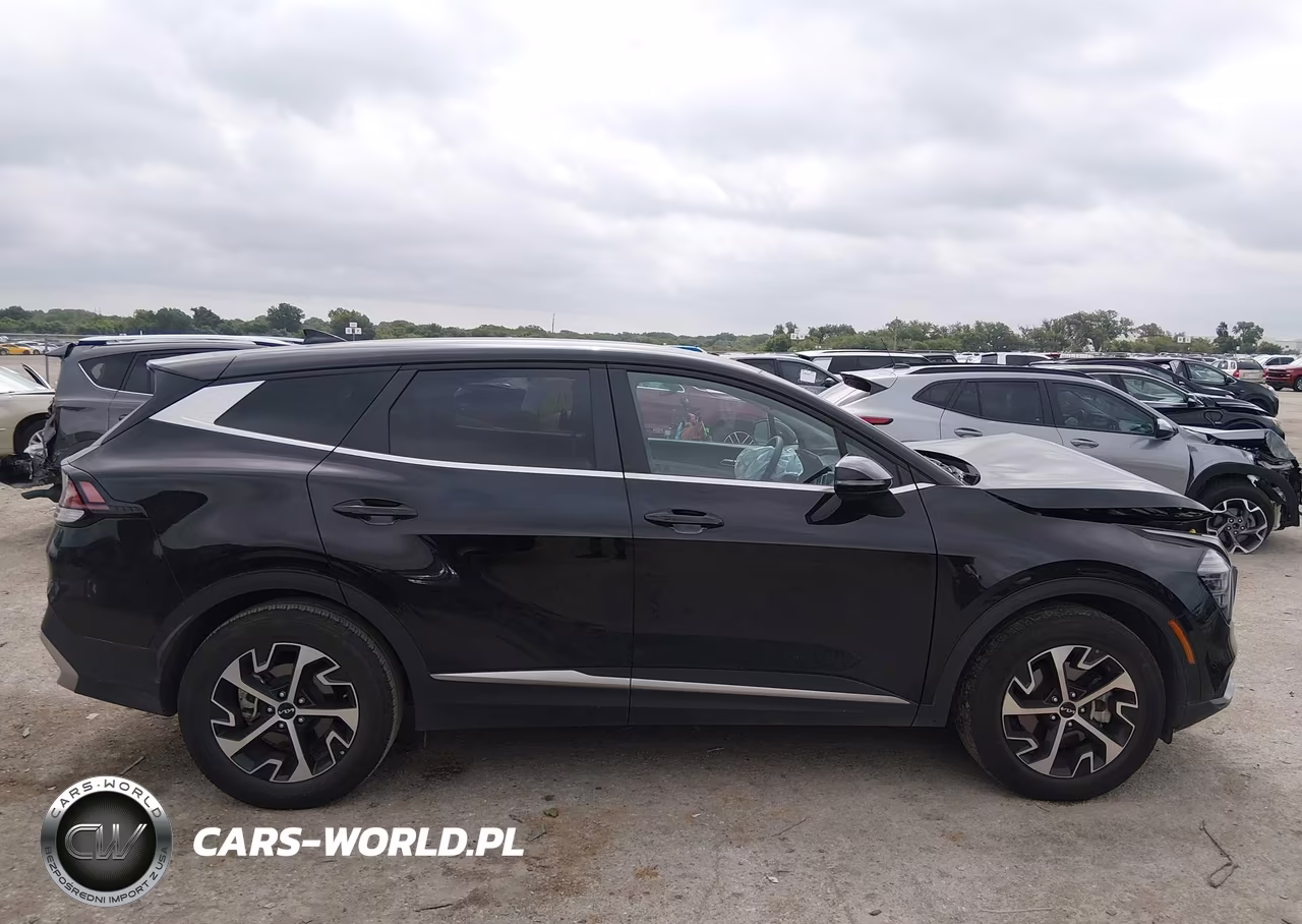 2024 Kia Sportage Ex VIN:5XYK33DF4RG196371 - 13