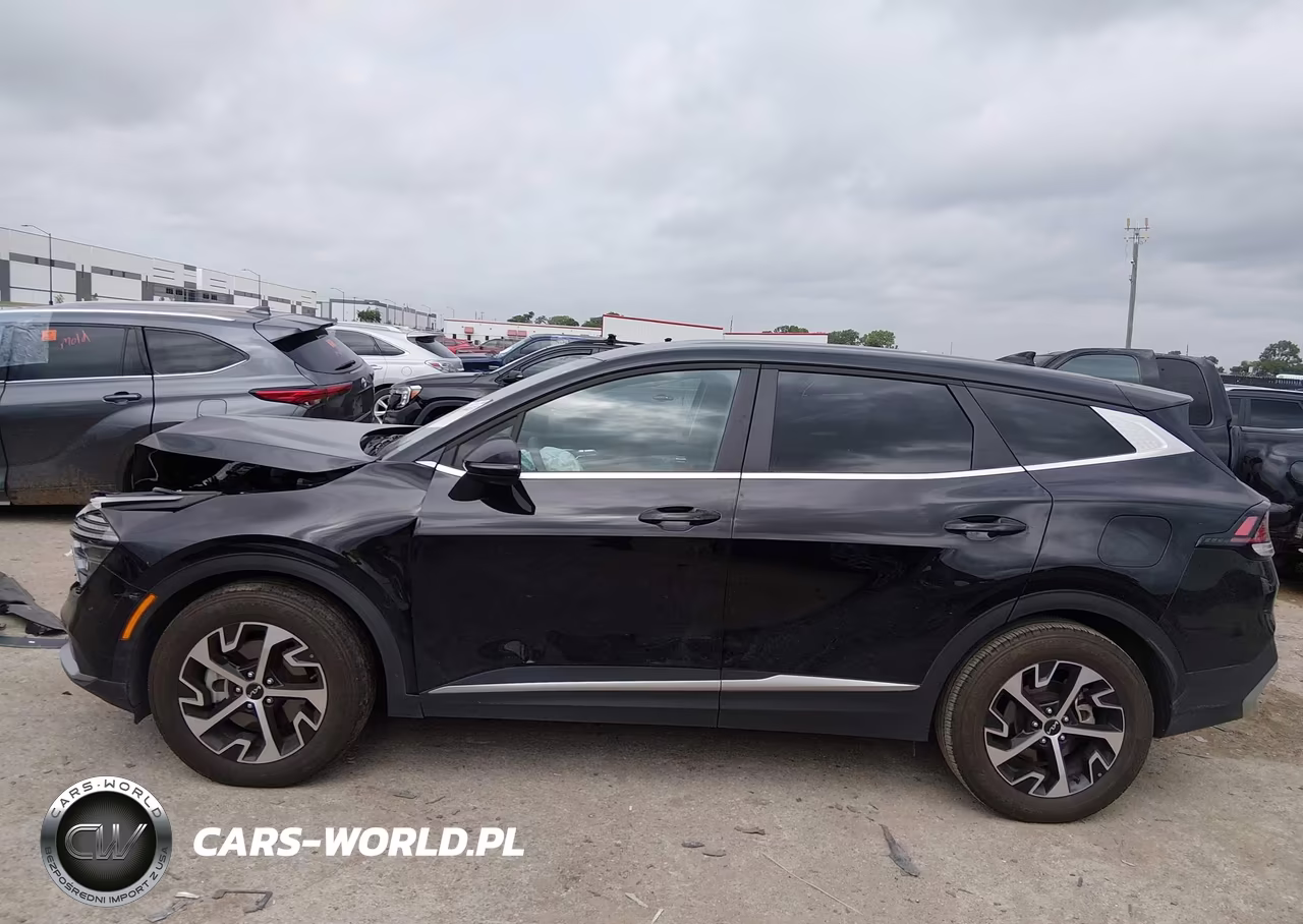 2024 Kia Sportage Ex VIN:5XYK33DF4RG196371 - 14
