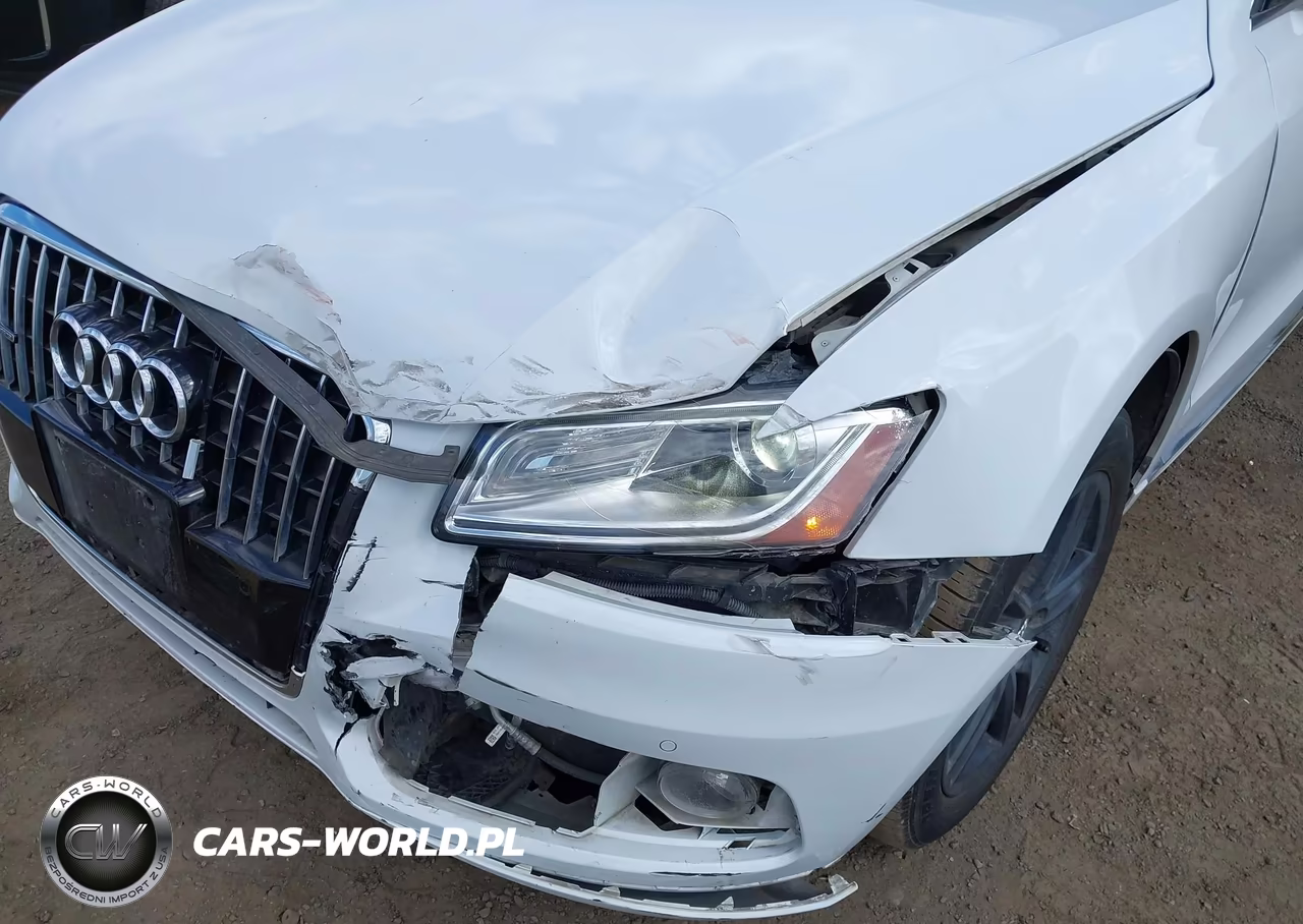 2016 Audi Q5 2.0T Premium VIN:WA1L2AFP2GA100584 - 17