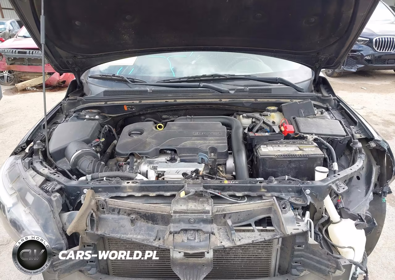 2019 Chevrolet Malibu 1Fl VIN:1G1ZC5ST3KF217876 - 10