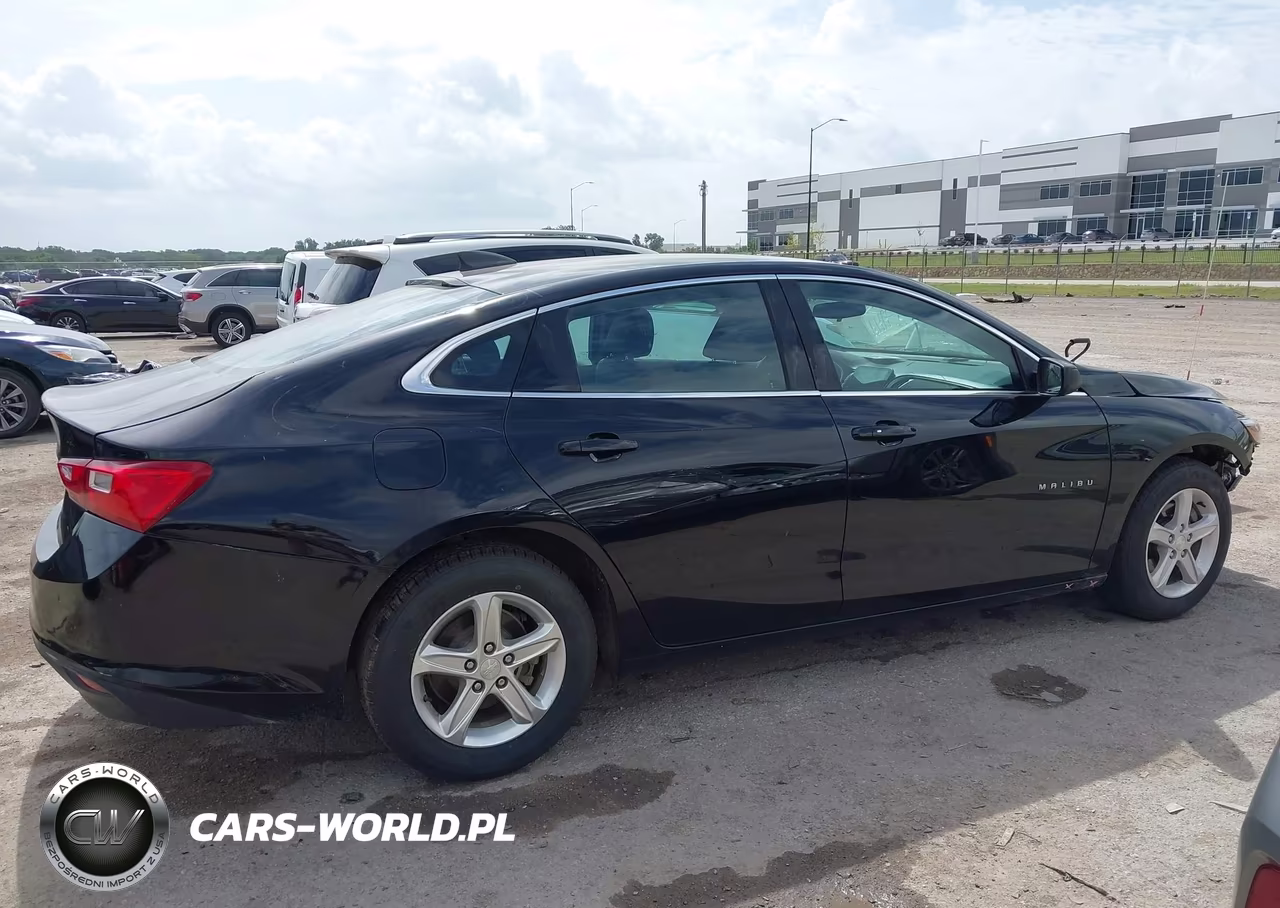 2019 Chevrolet Malibu 1Fl VIN:1G1ZC5ST3KF217876 - 13
